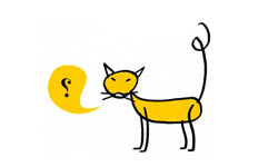 philippe doro chat